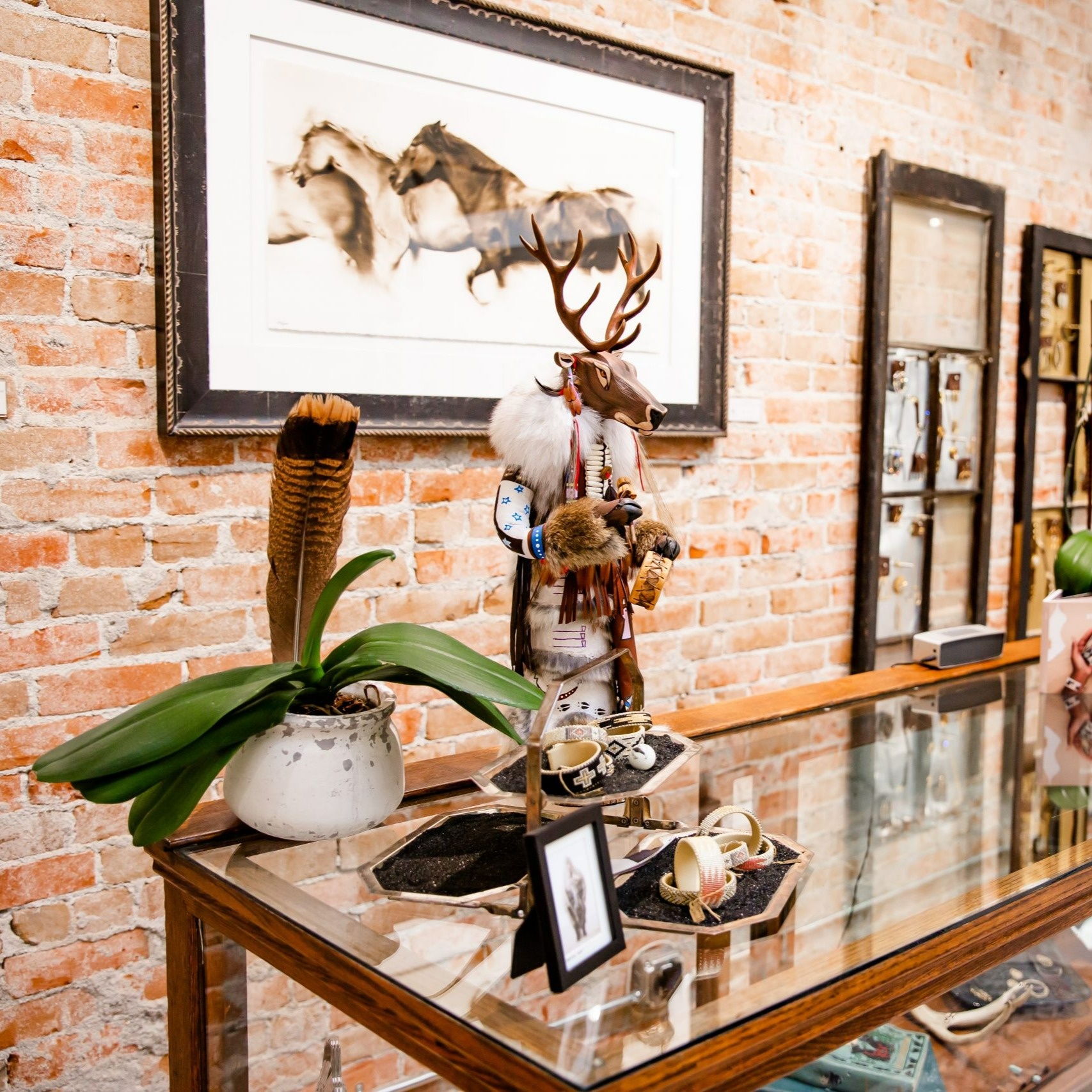 Medicine Bird Gallery